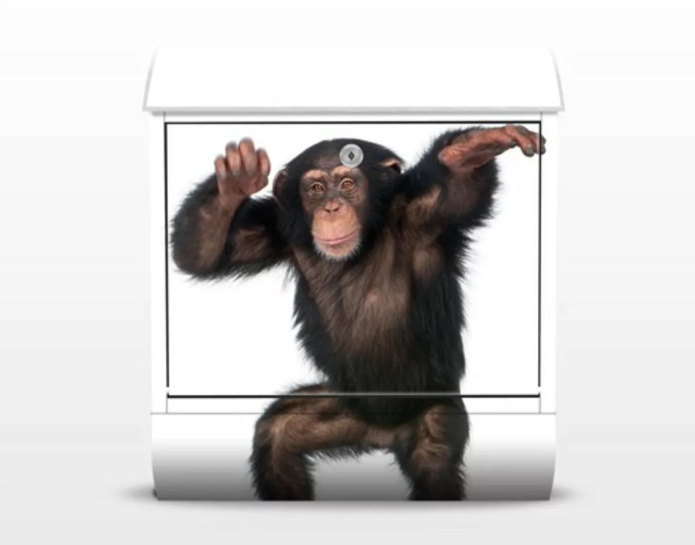 Briefkasten Tiere Vergnügter Affe günstig online kaufen