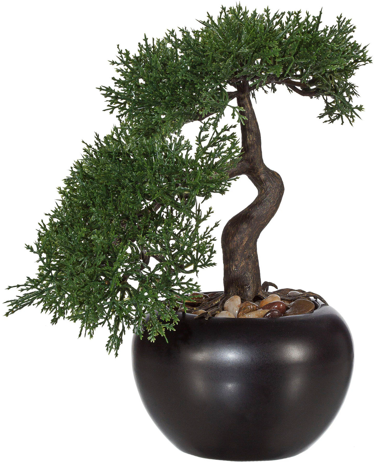 Creativ green Kunstbonsai "Bonsai Zeder im Keramiktopf" günstig online kaufen
