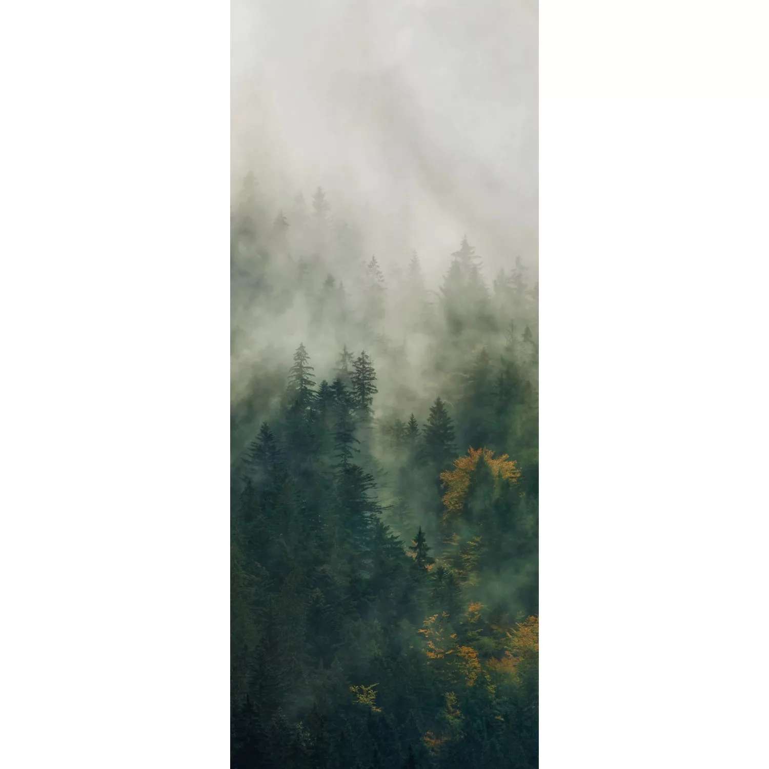 Komar Vliestapete »Tales of the Carpathians Panel«, 100x250 cm (Breite x Hö günstig online kaufen