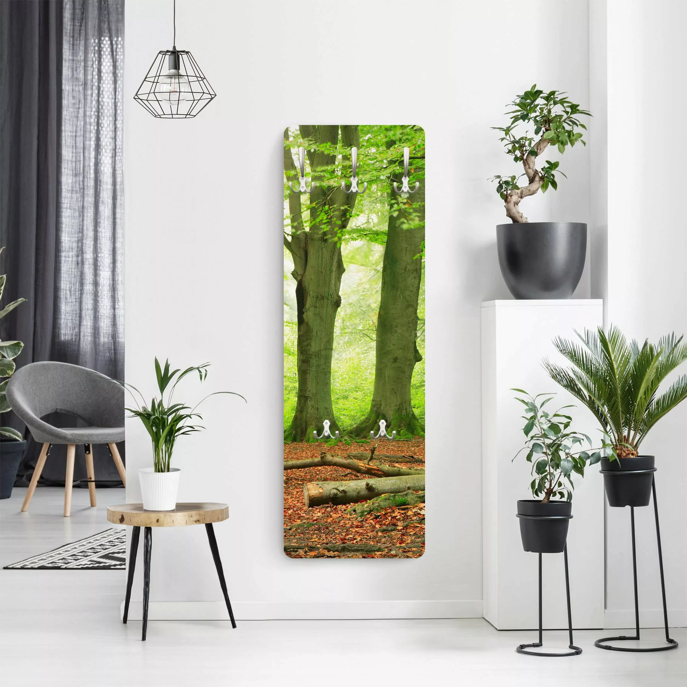 Wandgarderobe Holzpaneel Natur & Landschaft Mighty Beech Trees günstig online kaufen