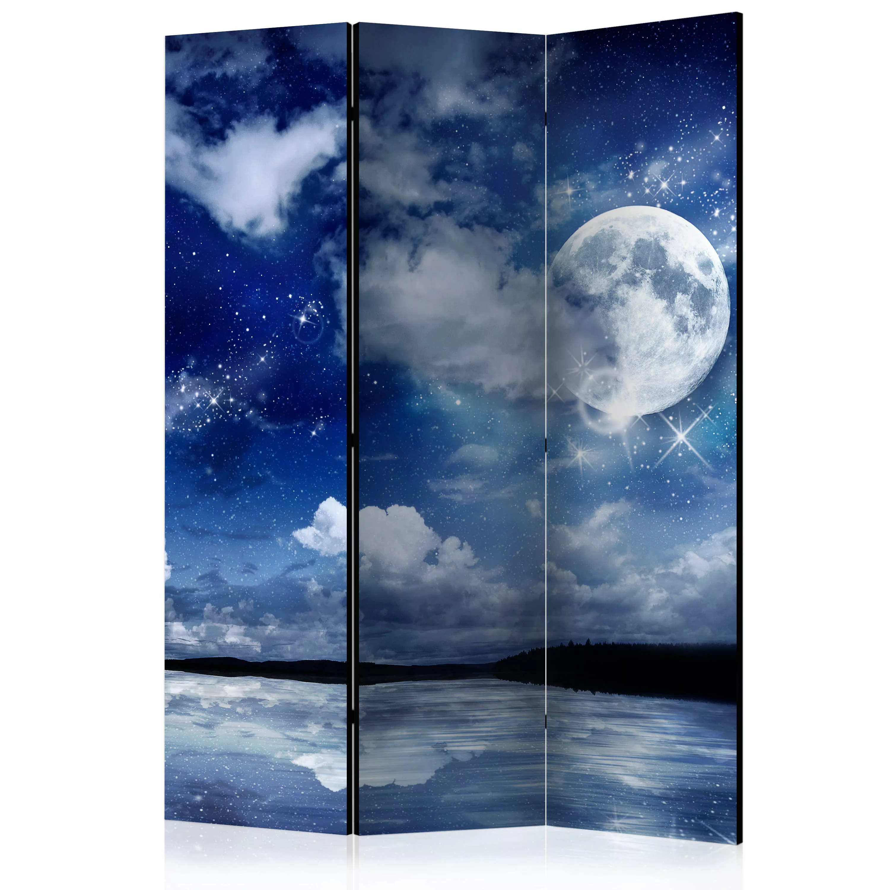 3-teiliges Paravent - Magic Night [room Dividers] günstig online kaufen