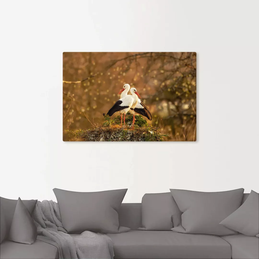 Artland Leinwandbild »Storchenpaar«, Vogelbilder, (1 St.), auf Keilrahmen g günstig online kaufen