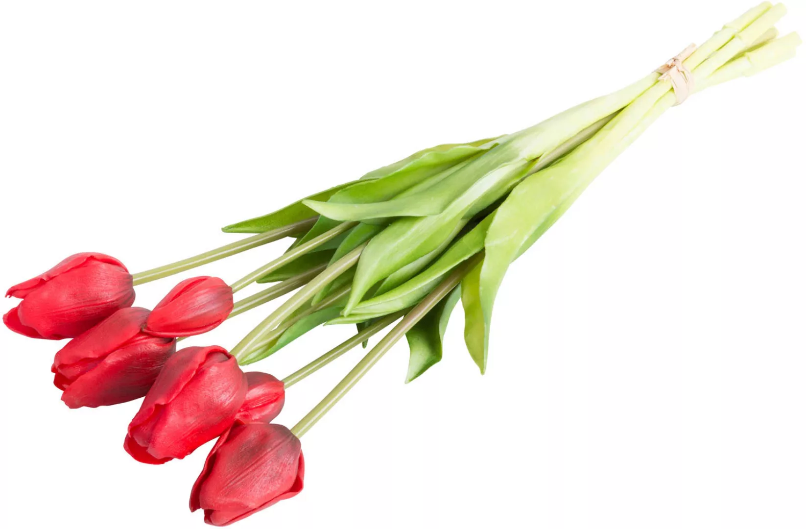 Botanic-Haus Kunstblume "Tulpenbündel" günstig online kaufen