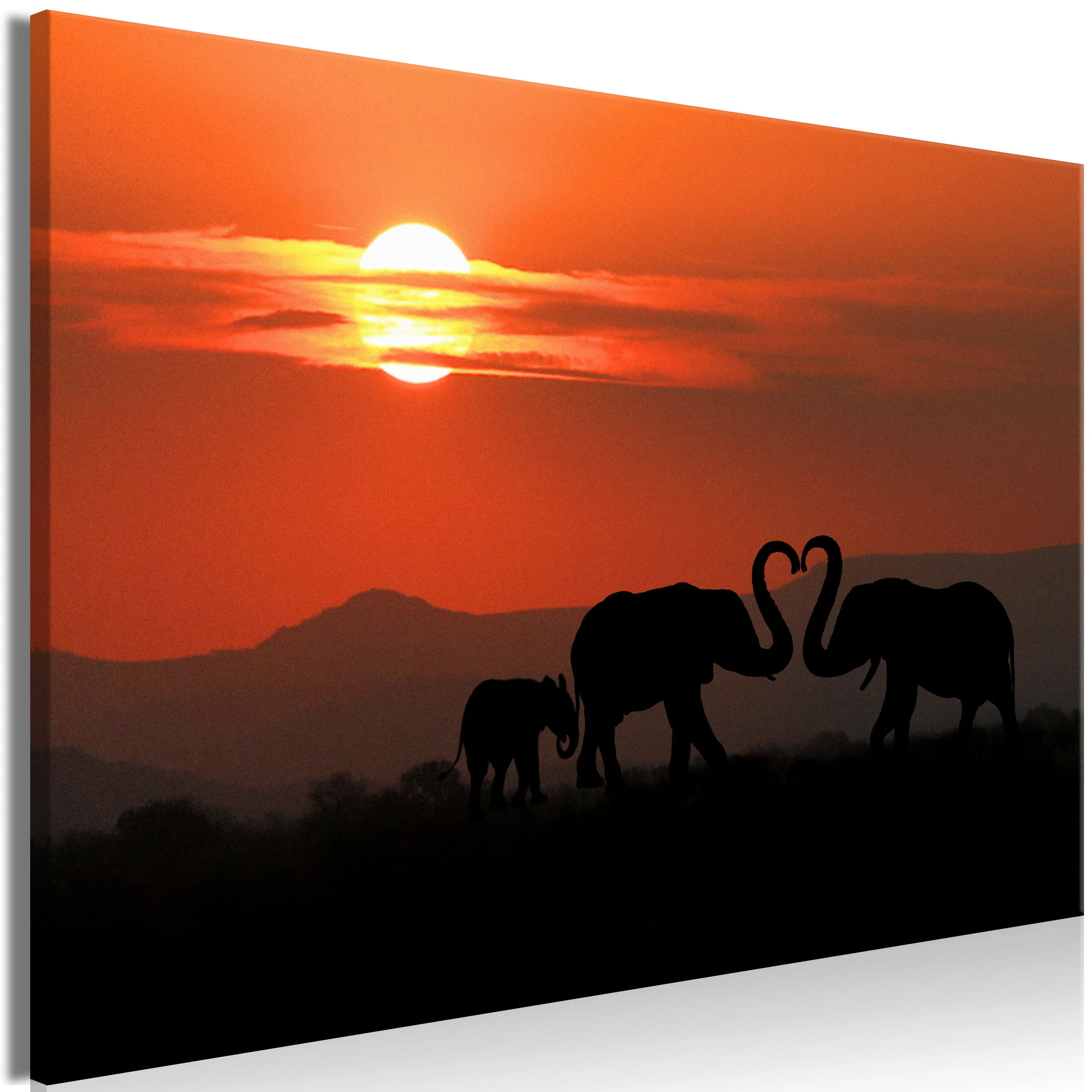 Wandbild - Elephants in Love (1 Part) Wide günstig online kaufen