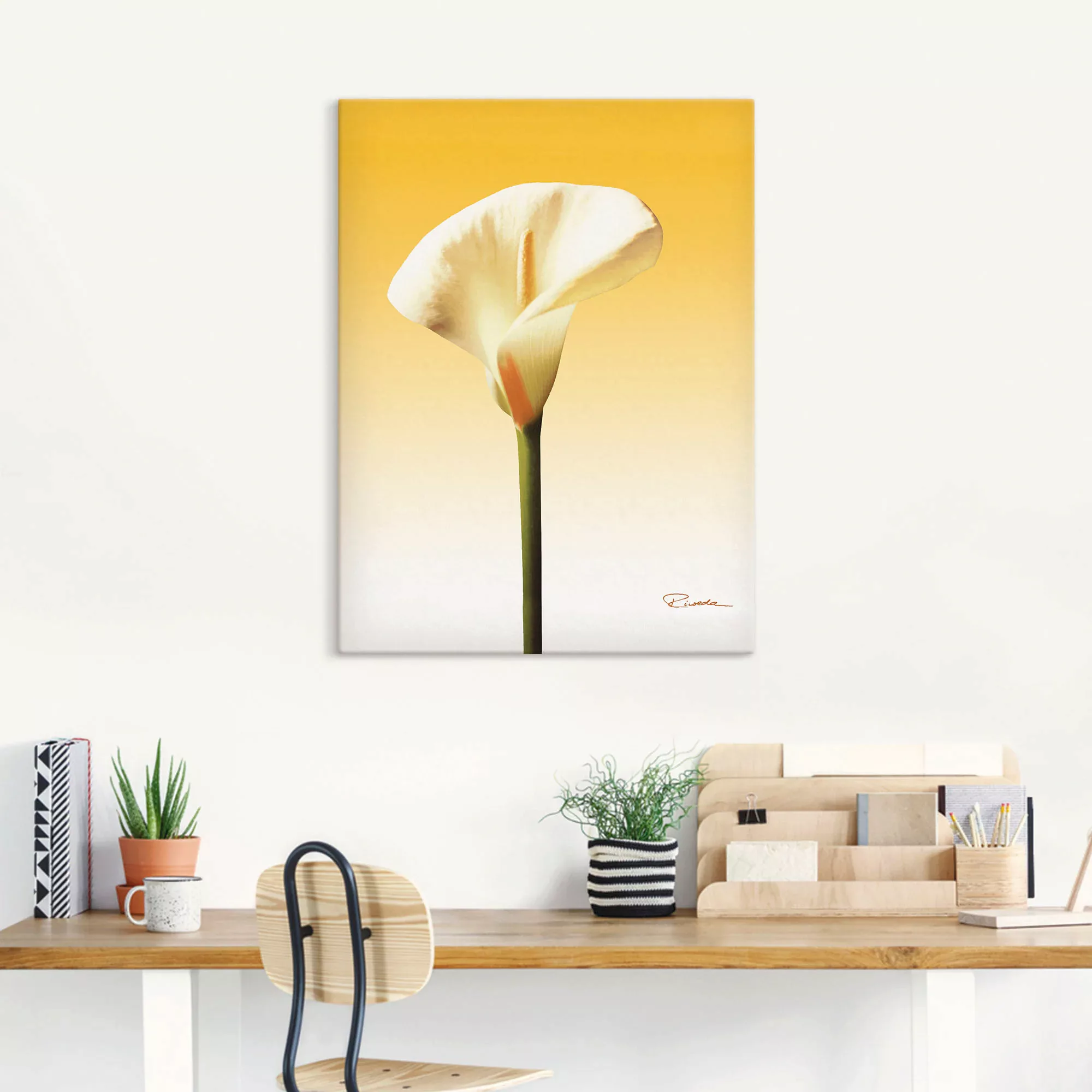 Artland Wandbild "Sonnenschein Calla II", Blumenbilder, (1 St.) günstig online kaufen