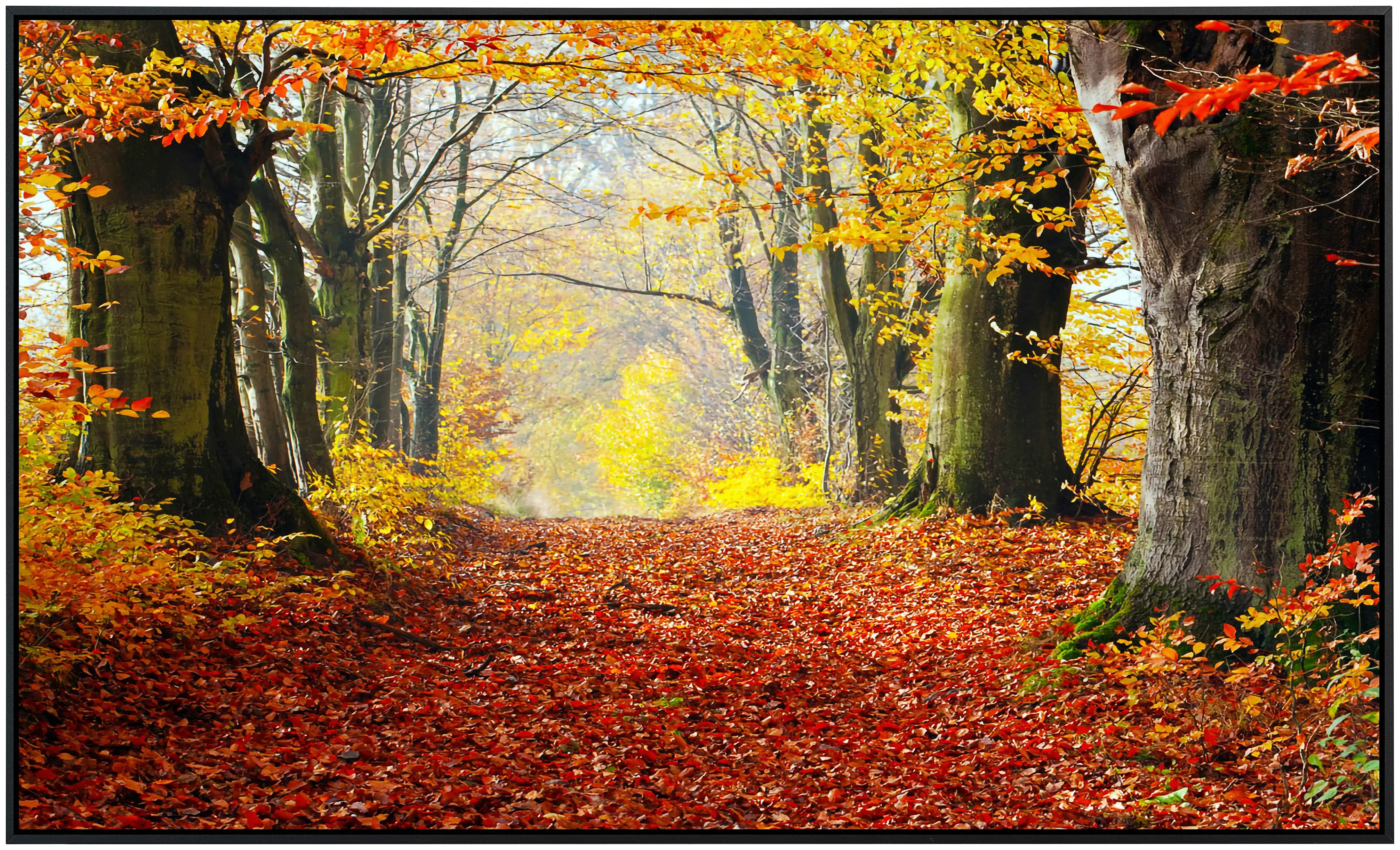 Papermoon Infrarotheizung »Herbst Waldweg«, sehr angenehme Strahlungswärme günstig online kaufen
