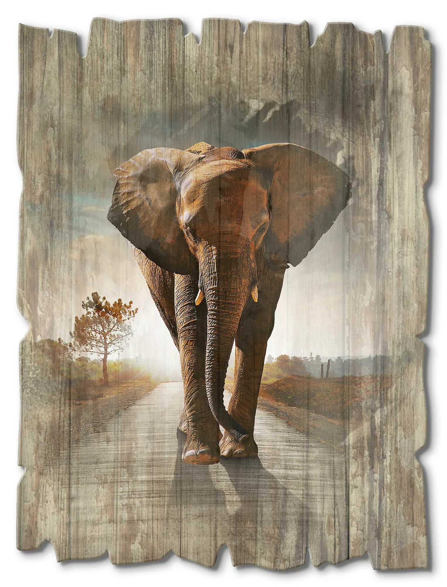 Artland Holzbild "Ein Elefant läuft auf der Straße", Wildtiere, (1 St.) günstig online kaufen