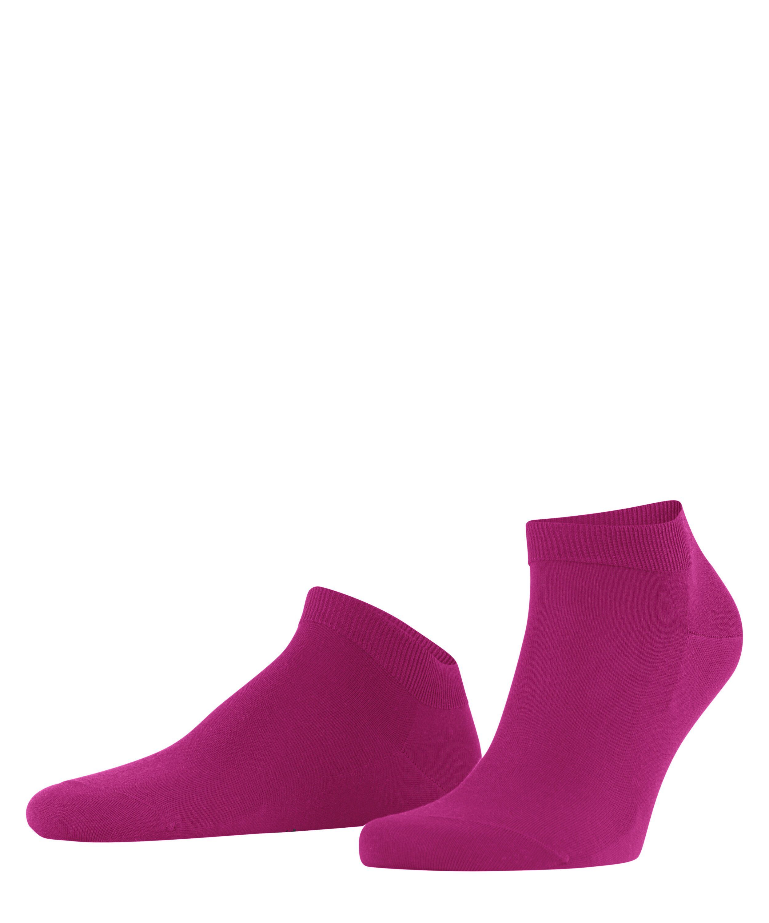 Falke Herren Sneaker Socken CLIMA WOOL günstig online kaufen