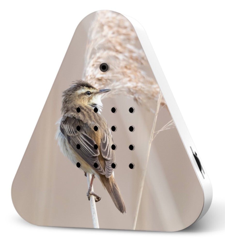 Lakesidebox Teichrohrsänger Reed Warbler Limited Edition Naturklänge mit Be günstig online kaufen