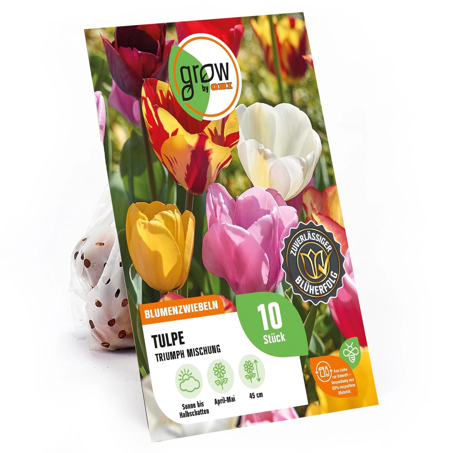 GROW by OBI Triumph-Tulpen Mischung 45 cm Tulipa günstig online kaufen