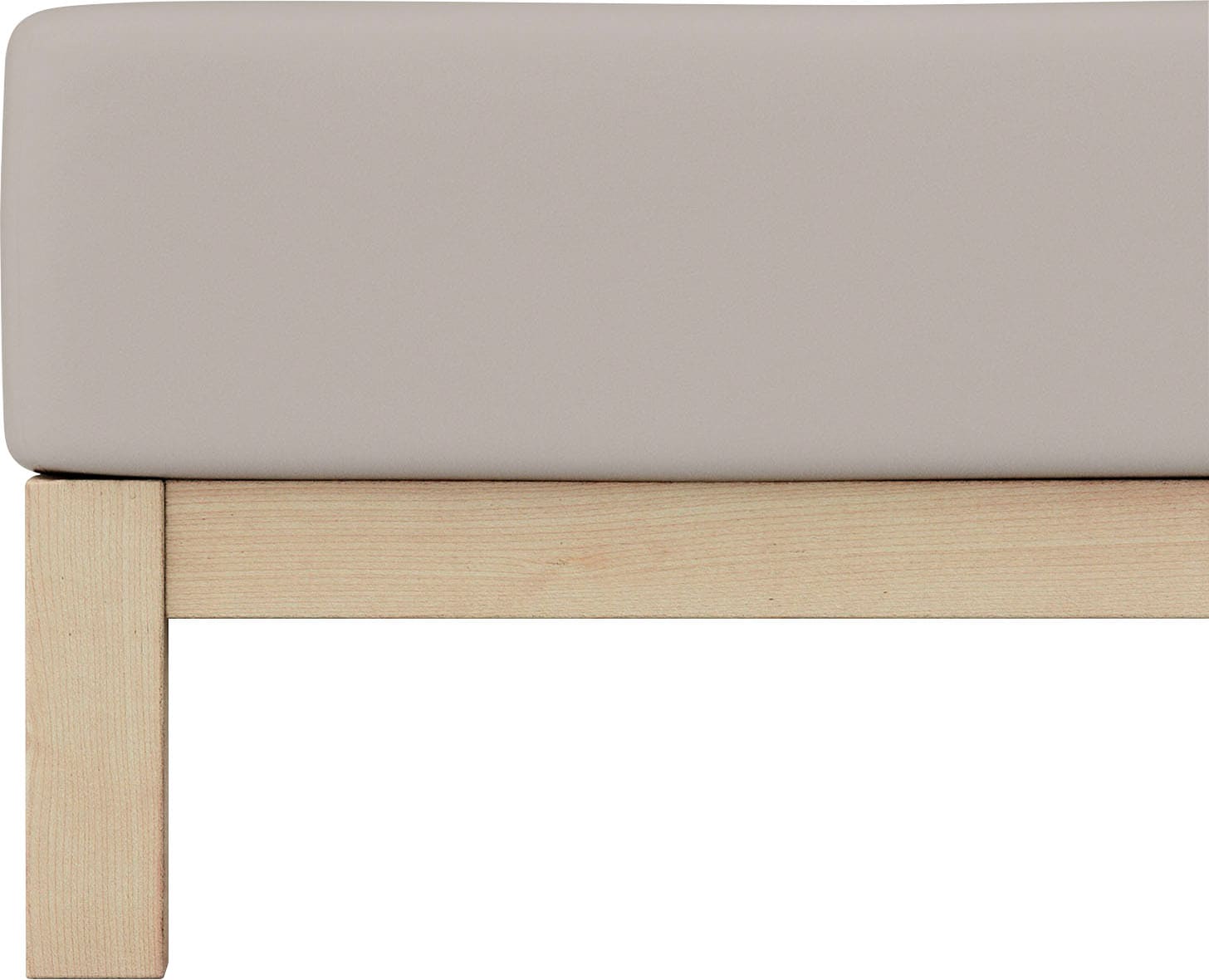 Schlafgut Spannbettlaken »PURE Bio-Baumwolle mit Elasthan, dehnbar blickdic günstig online kaufen