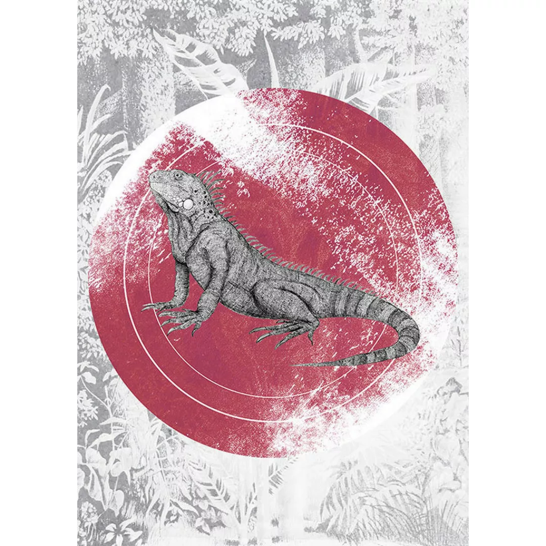 KOMAR Wandbild - Iguana Circle - Größe: 50 x 70 cm mehrfarbig Gr. one size günstig online kaufen