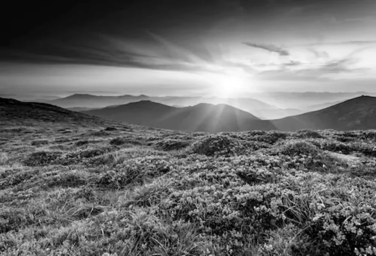 Papermoon Fototapete »Landschaft Schwarz & Weiß« günstig online kaufen