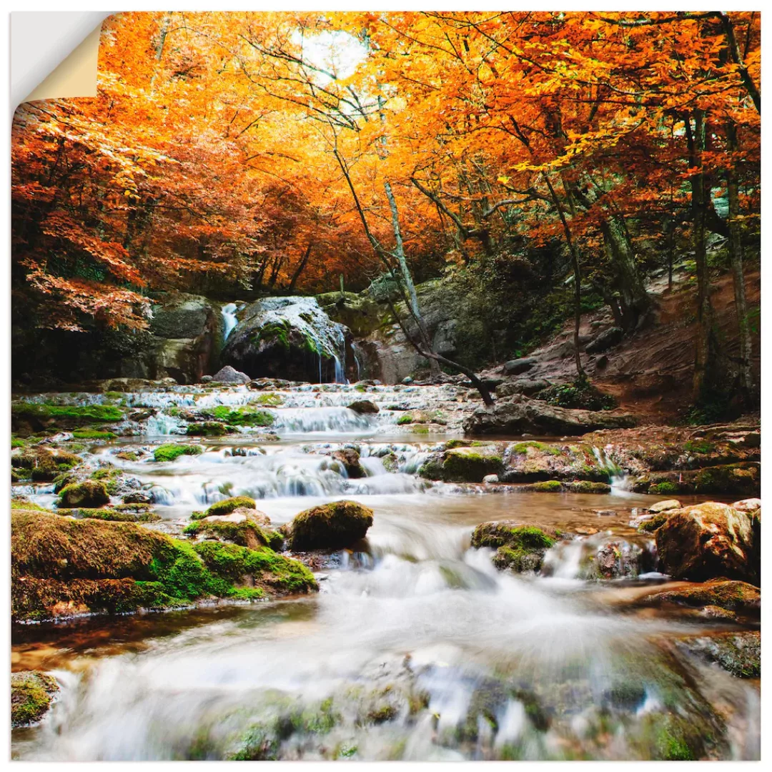 Artland Wandbild "Herbstlicher Wasserfall", Gewässer, (1 St.) günstig online kaufen