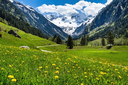 Papermoon Fototapete »ALPEN TIROL GEBIRGE« günstig online kaufen