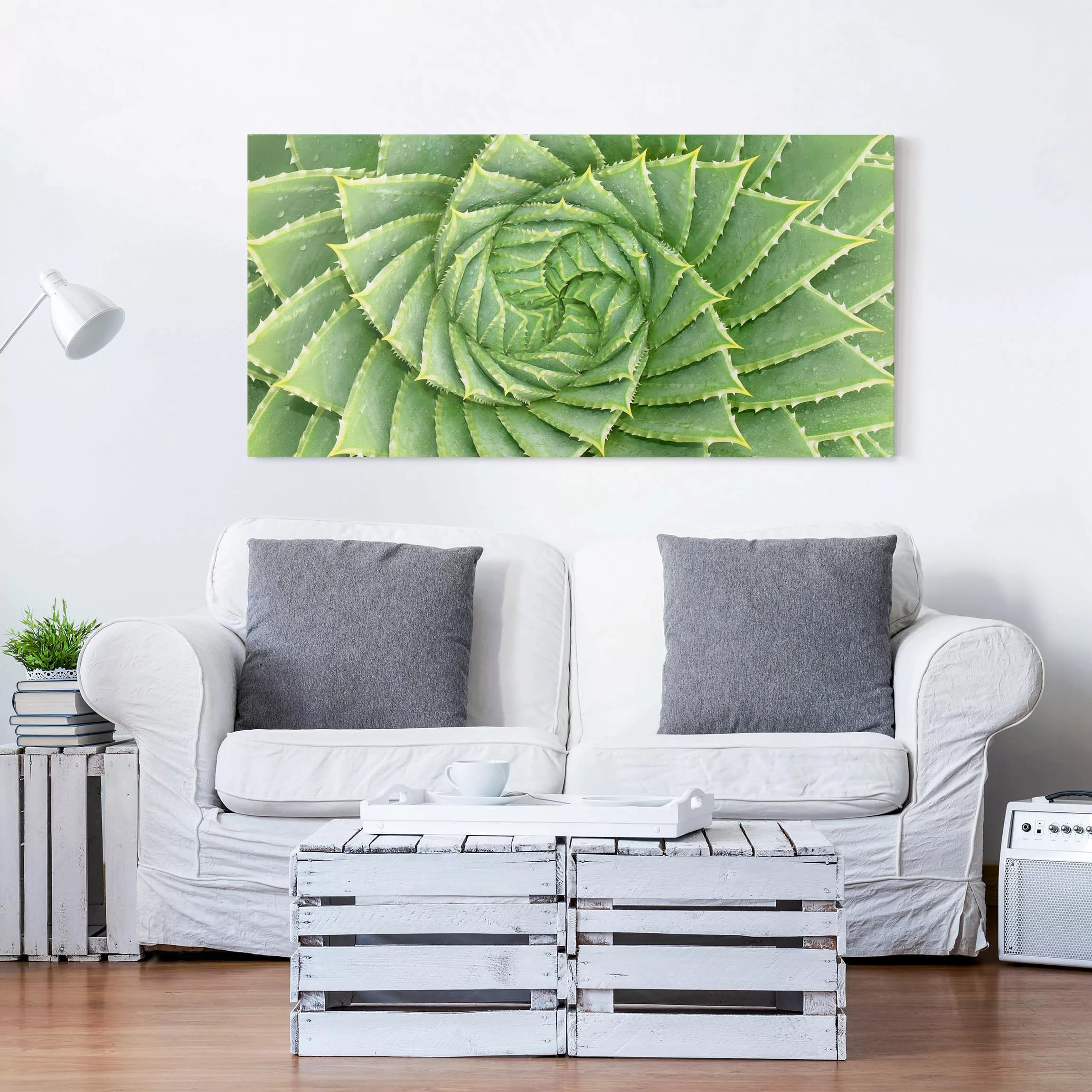 Leinwandbild - Querformat Spiral Aloe günstig online kaufen