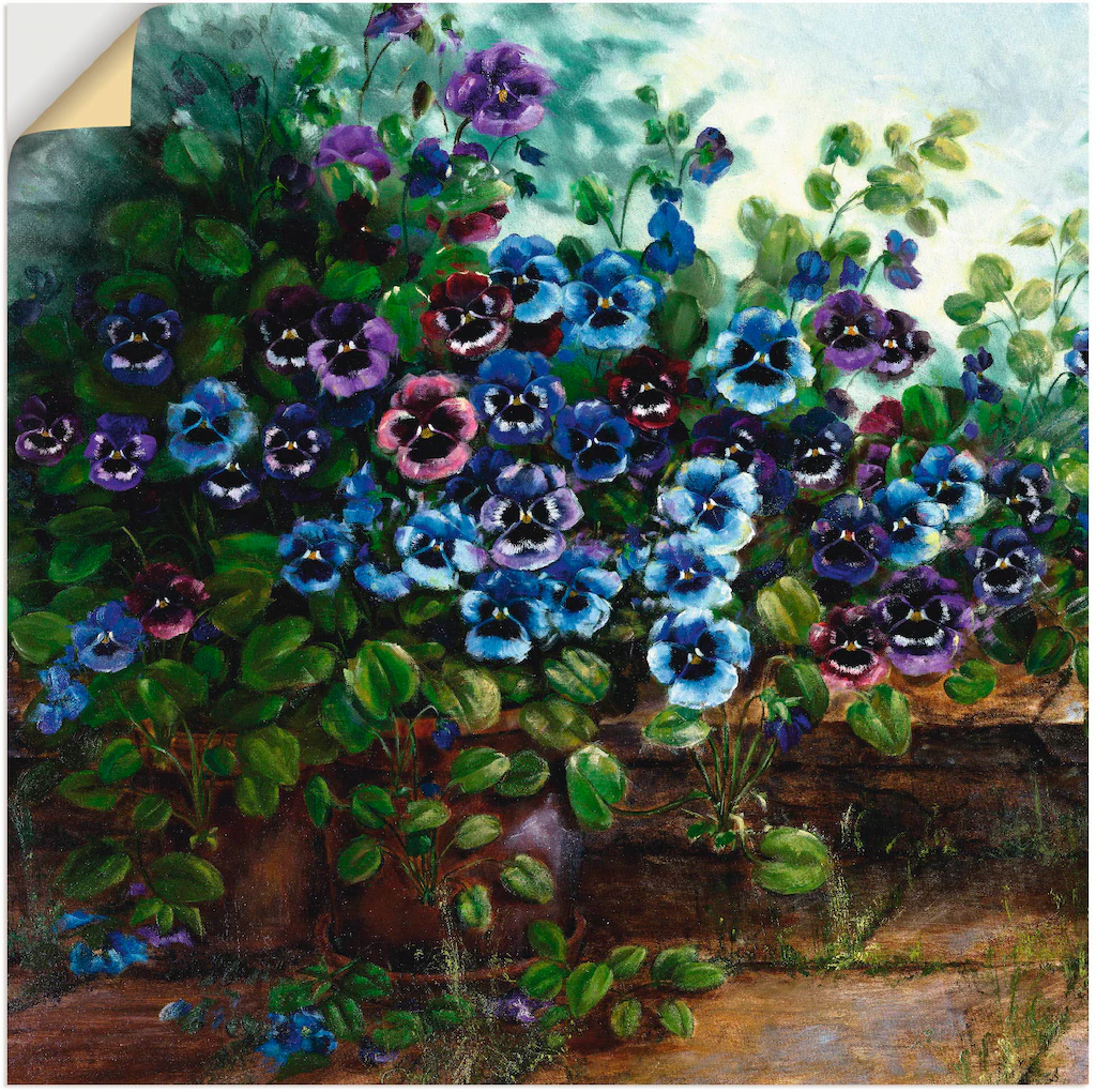 Artland Wandbild "Stiefmütterchen II", Blumen, (1 St.), als Leinwandbild, W günstig online kaufen