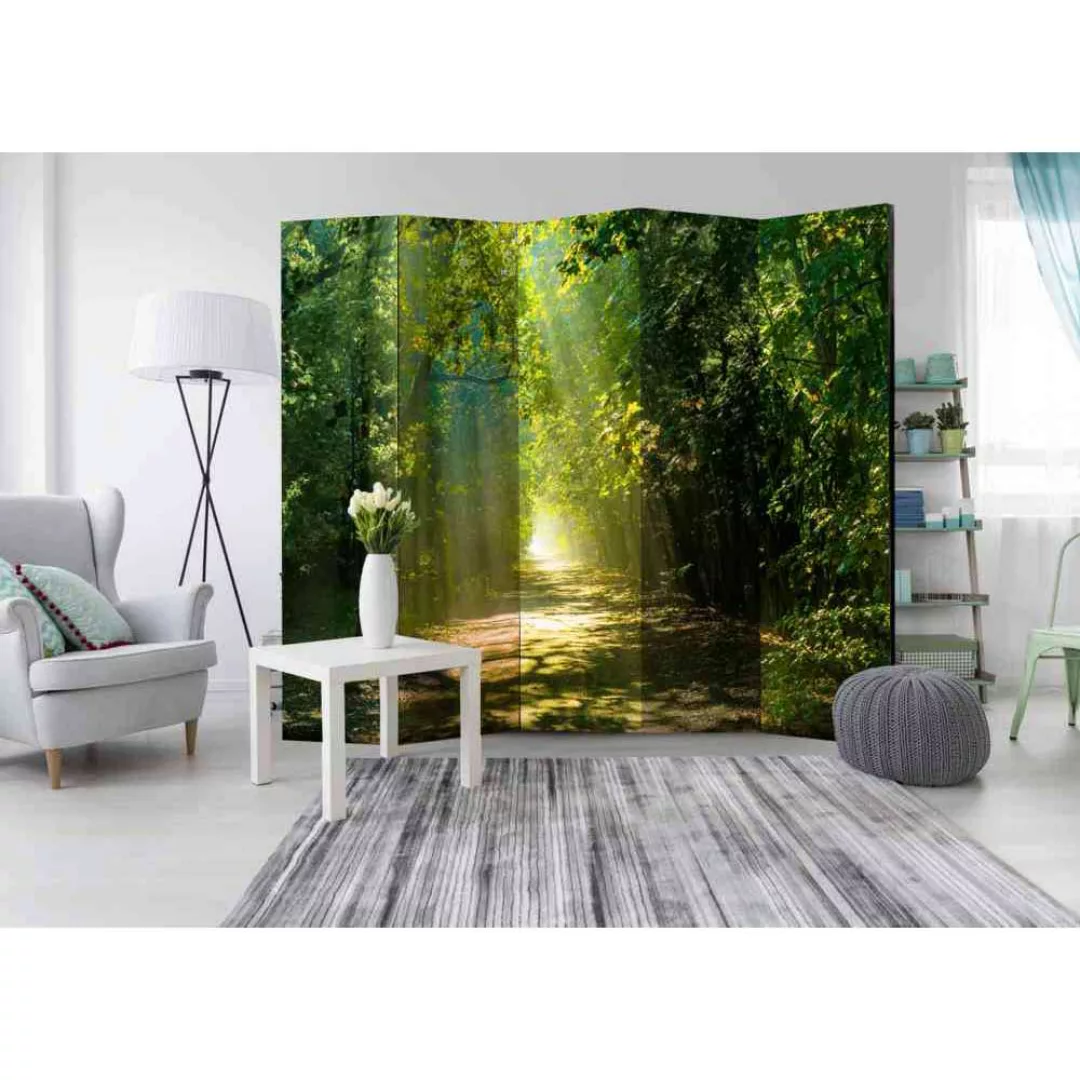 Leinwand Paravent mit Wald Motiv bei Sonnenschein 225 cm breit günstig online kaufen