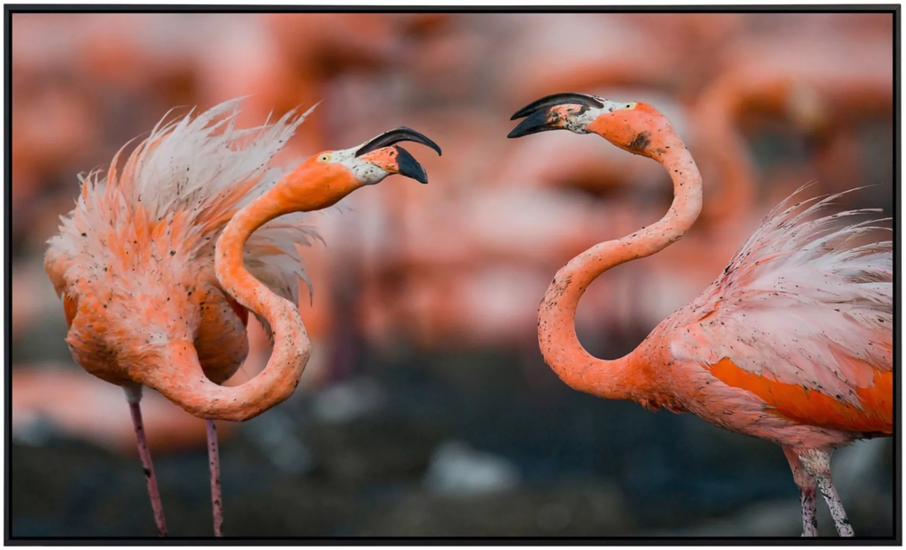 Papermoon Infrarotheizung »Karibische Flamingos« günstig online kaufen