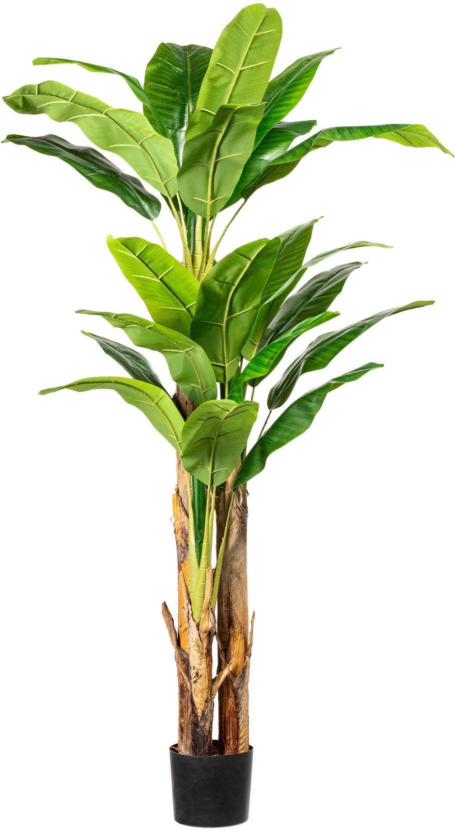 Kunstpalme Bananenpflanze Bananenpflanze, Creativ green, Höhe günstig online kaufen