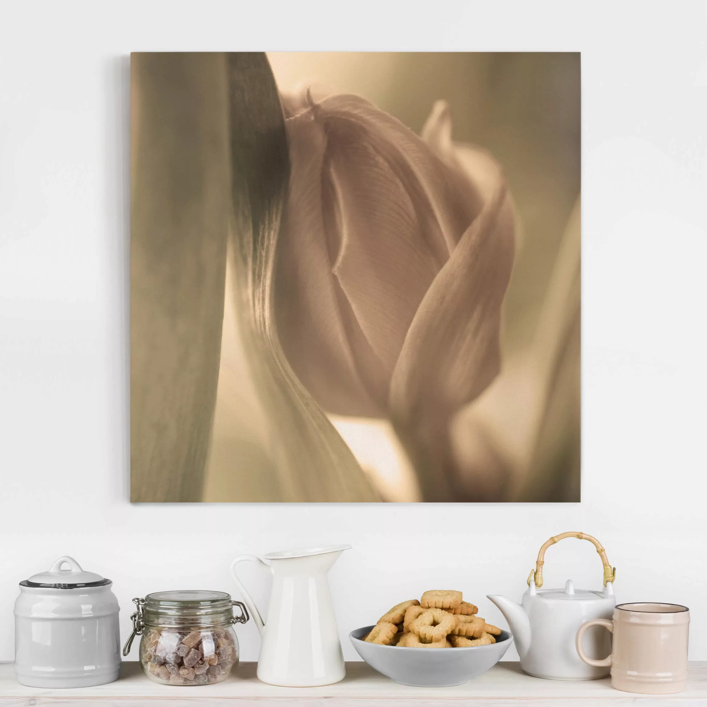 Leinwandbild Blumen - Quadrat Zarte Tulpen günstig online kaufen