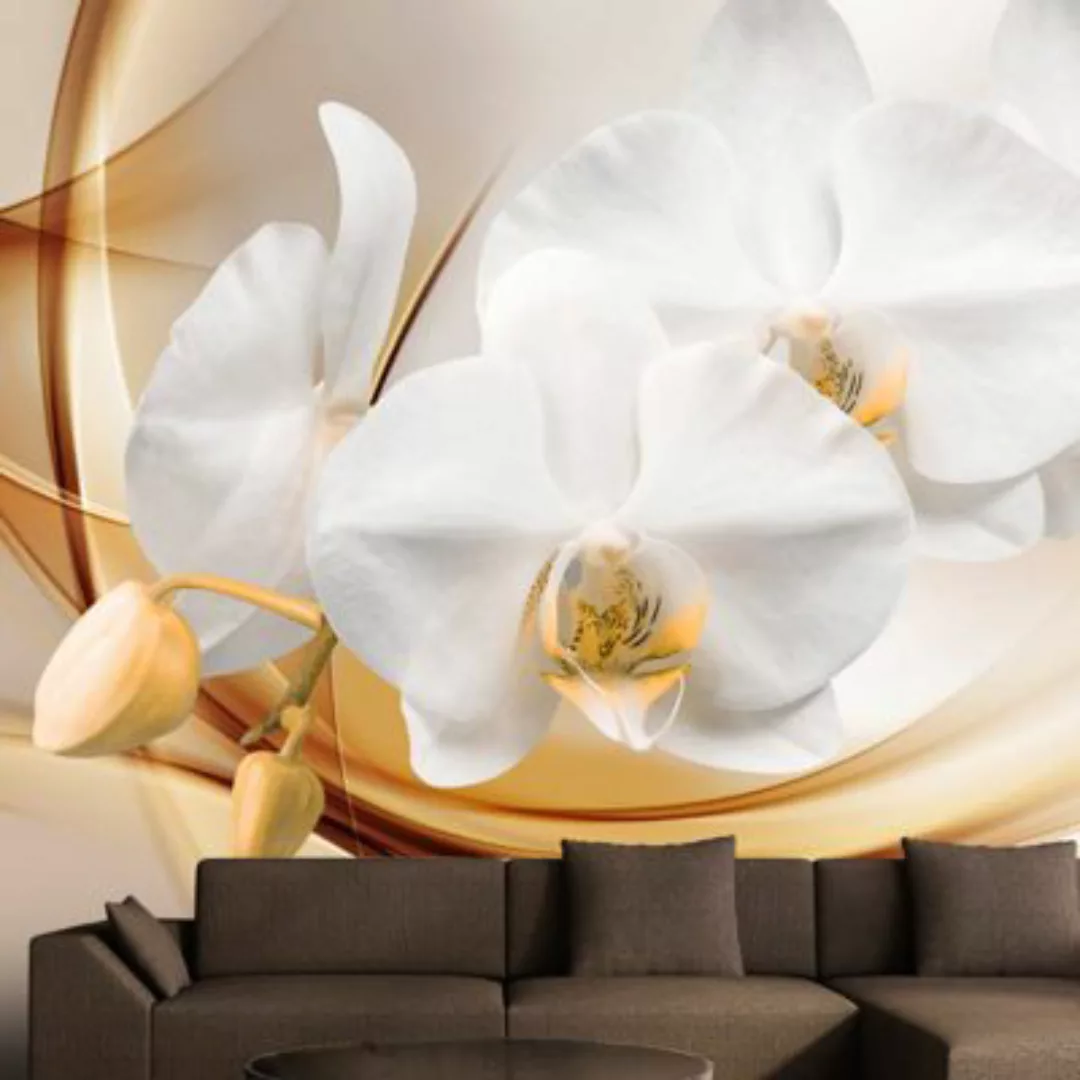 artgeist Fototapete Orchid blossom mehrfarbig Gr. 150 x 105 günstig online kaufen
