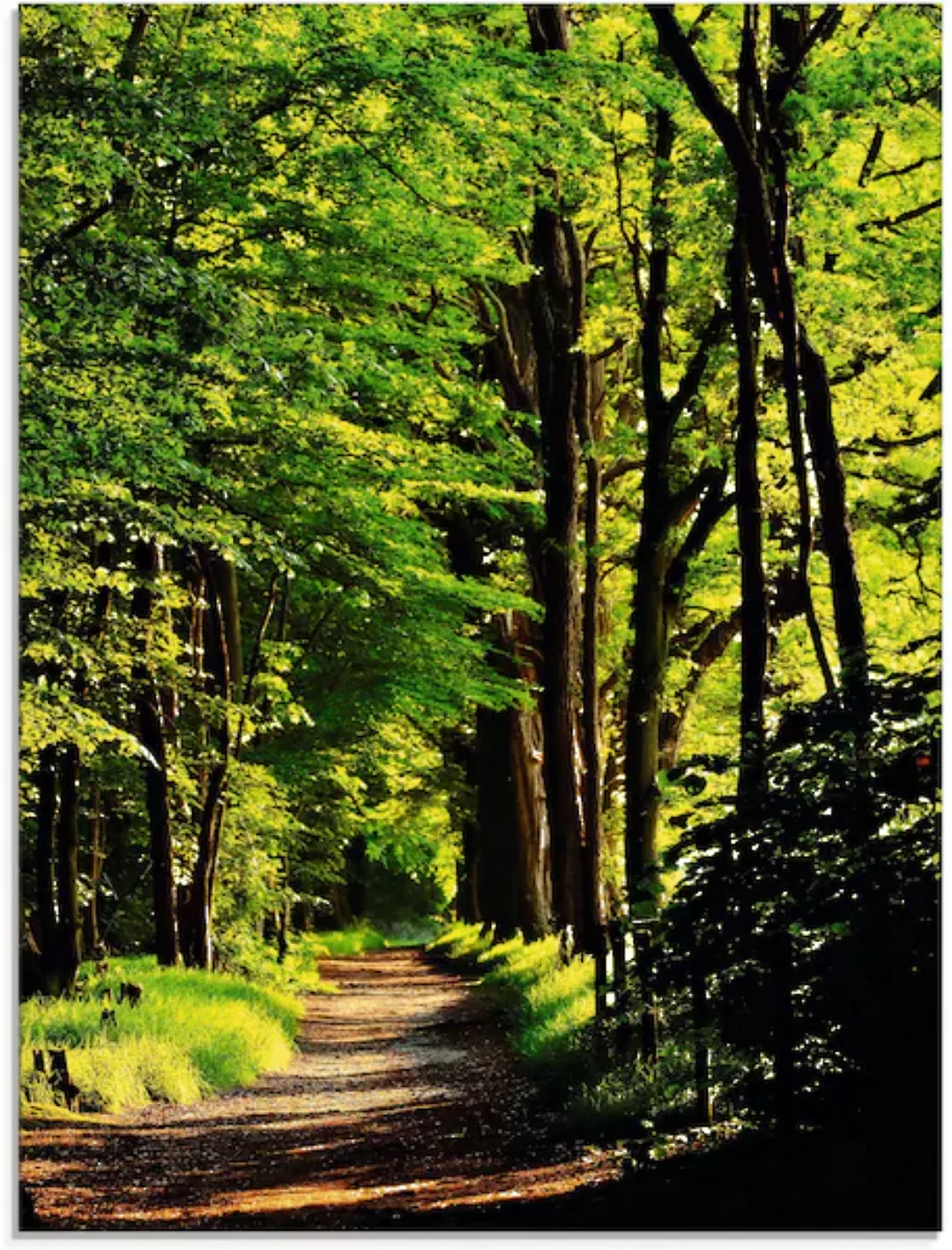 Artland Glasbild "Weg im Wald", Wald, (1 St.), in verschiedenen Größen günstig online kaufen