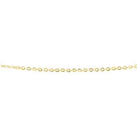 Ernstes Design Spiegelankerkette, 1 mm, Gelbgold beschichtet, 42 cm günstig online kaufen