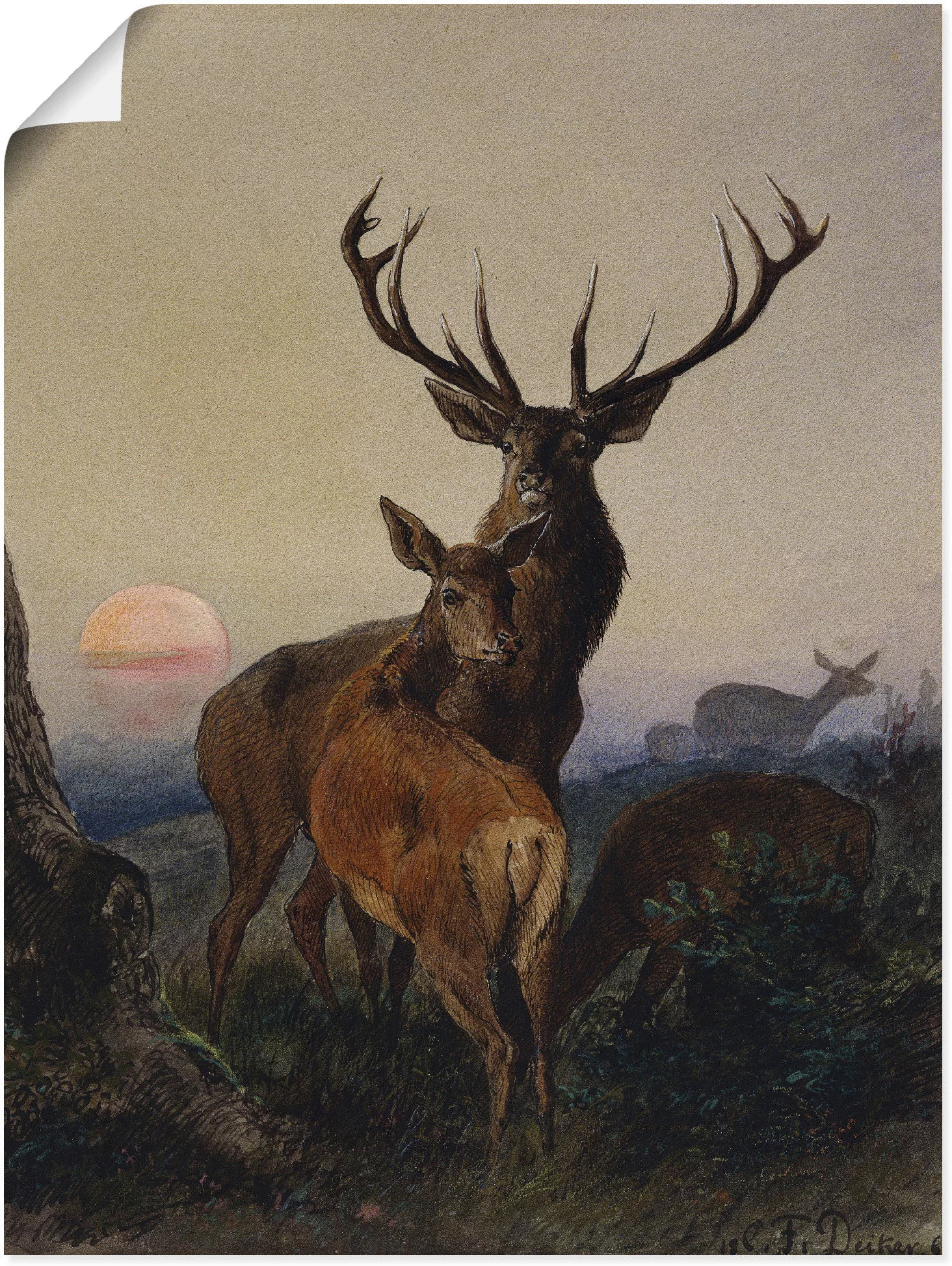 Artland Wandbild "Hirsch und ein Reh bei Sonnenuntergang", Wildtiere, (1 St günstig online kaufen