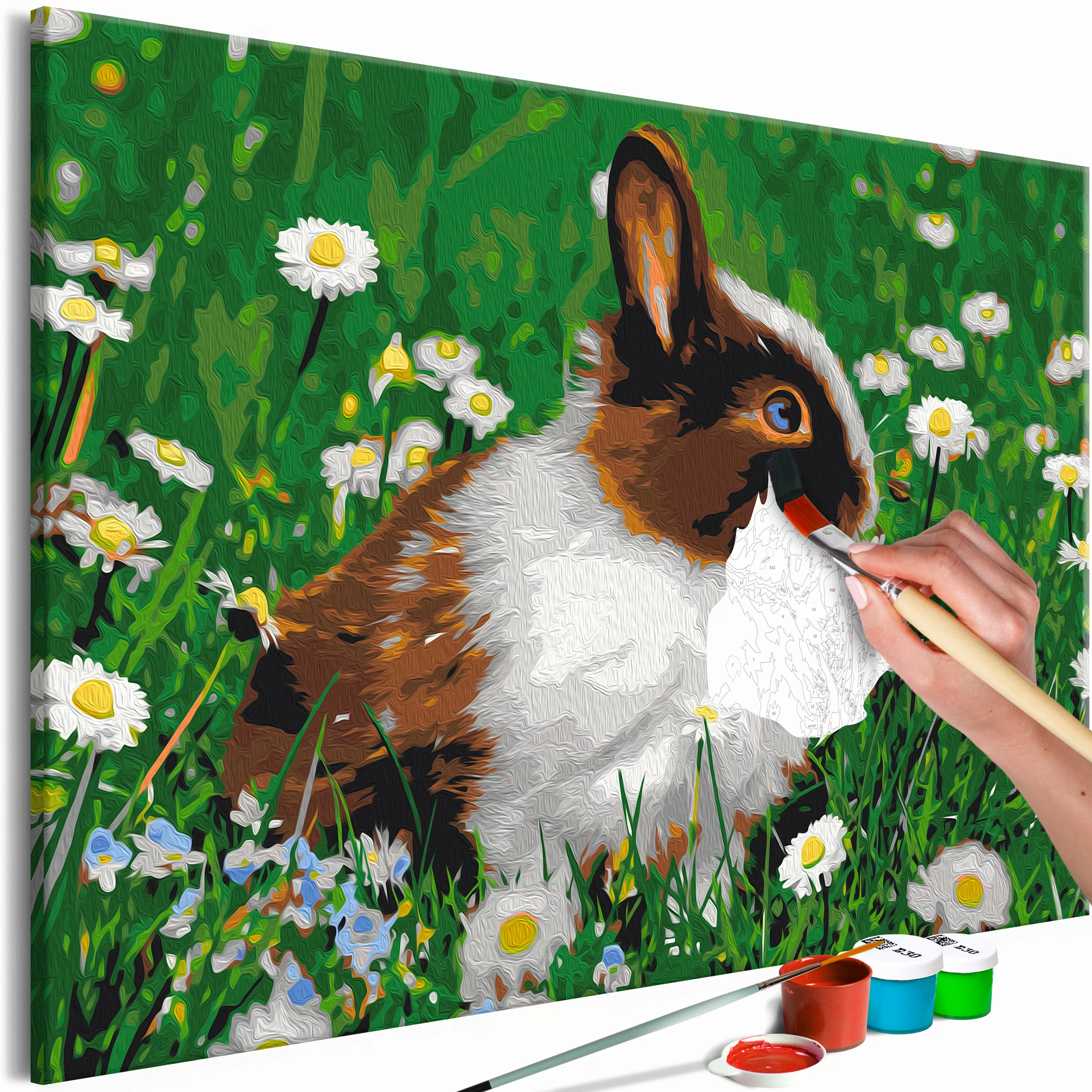 Malen Nach Zahlen - Rabbit In The Meadow günstig online kaufen