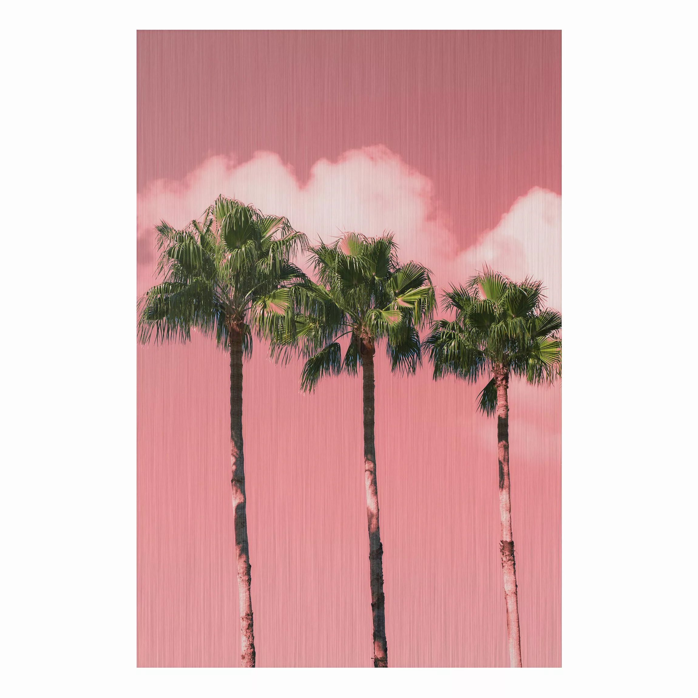 Alu-Dibond Bild Natur & Landschaft - Hochformat 2:3 Palmen vor Himmel Rosa günstig online kaufen