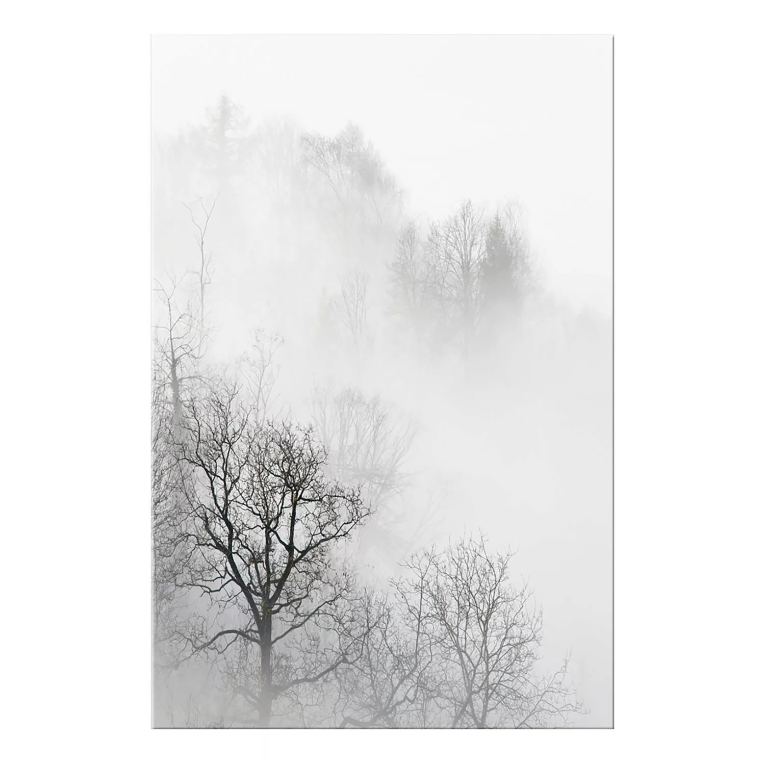 home24 Wandbild Trees In The Fog günstig online kaufen