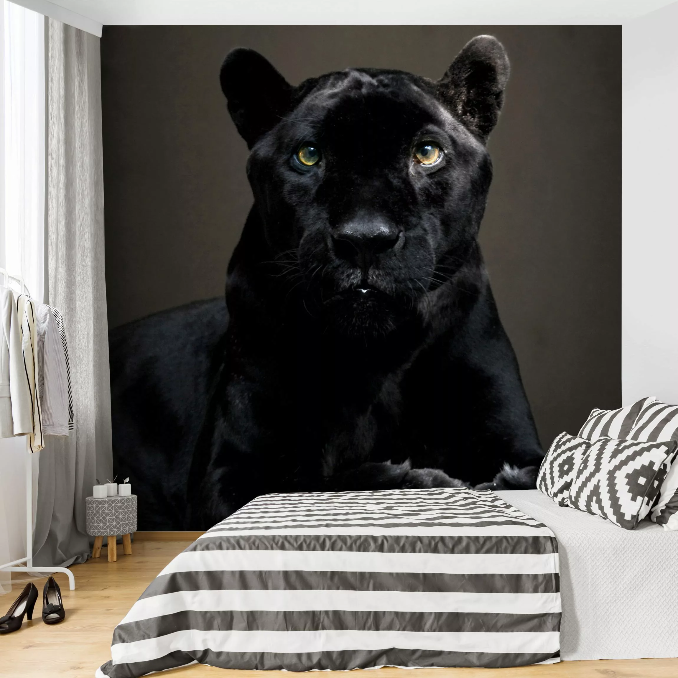 Fototapete Black Puma günstig online kaufen