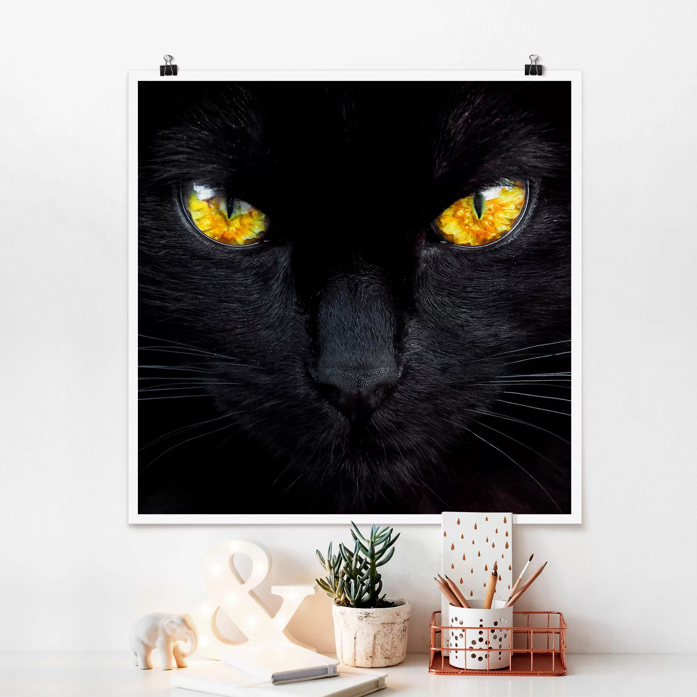 Poster Tiere - Quadrat Hypnotischer Blick günstig online kaufen