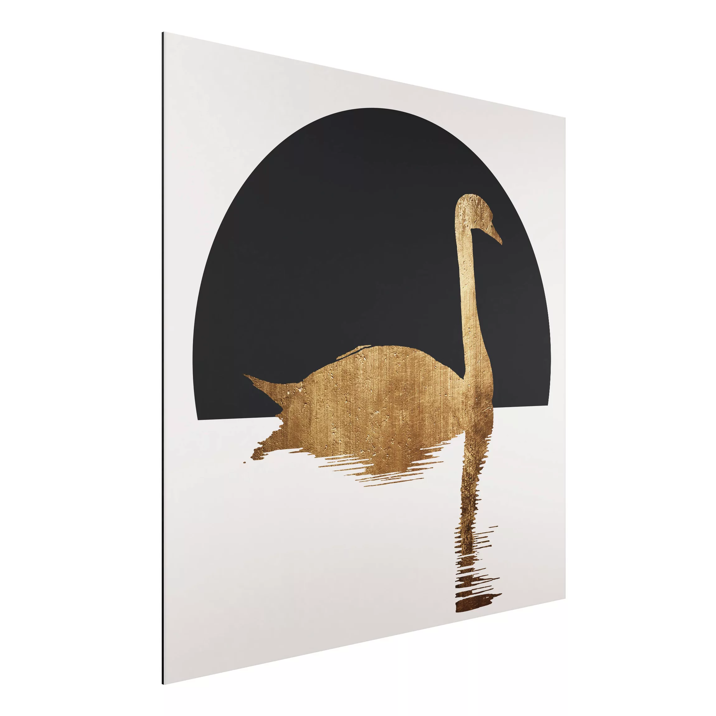 Alu-Dibond Bild Schwan in Gold günstig online kaufen