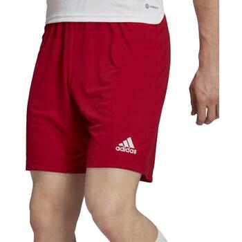 adidas  Shorts H61735 günstig online kaufen