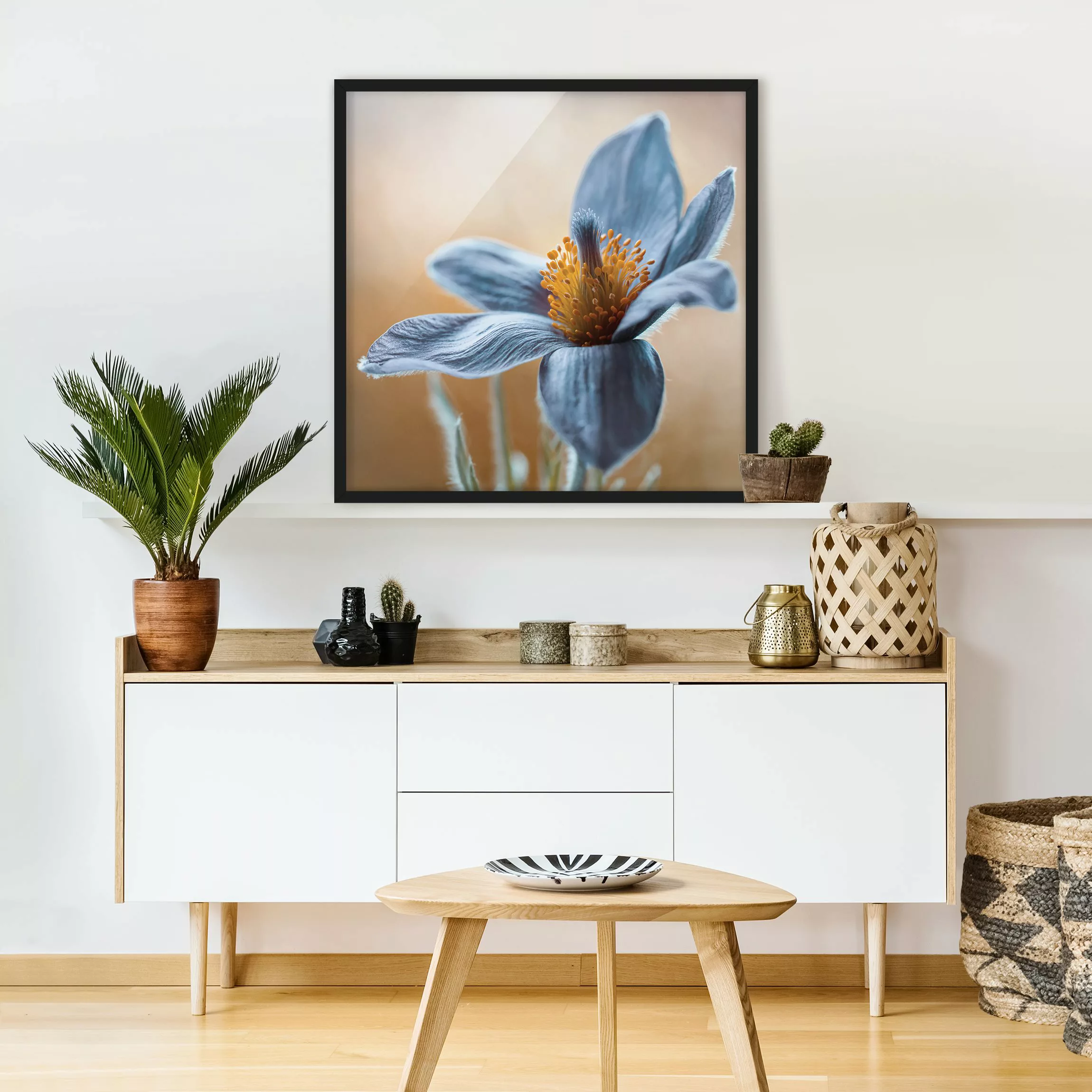 Bild mit Rahmen Blumen - Quadrat Kuhschelle in Blau günstig online kaufen