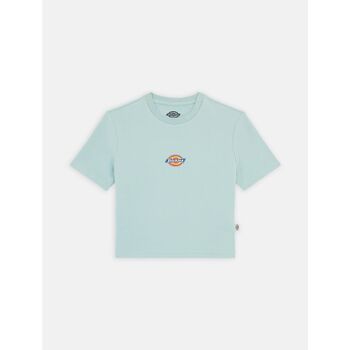 Dickies  T-Shirts & Poloshirts MAPLE VALLEY DK0A4XPO-J591 BLUE SURF günstig online kaufen