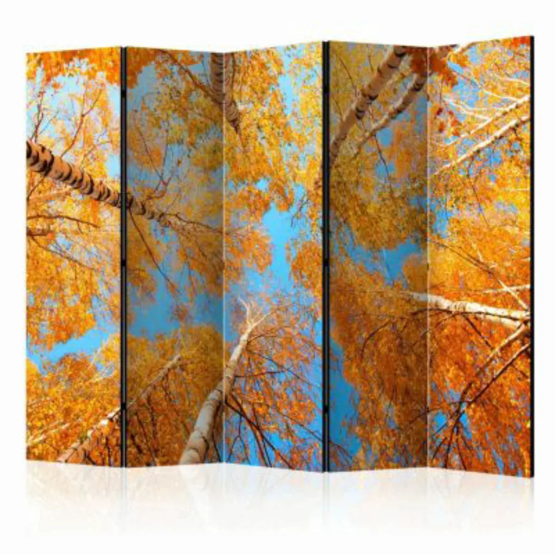 artgeist Paravent Autumnal treetops II [Room Dividers] mehrfarbig Gr. 225 x günstig online kaufen