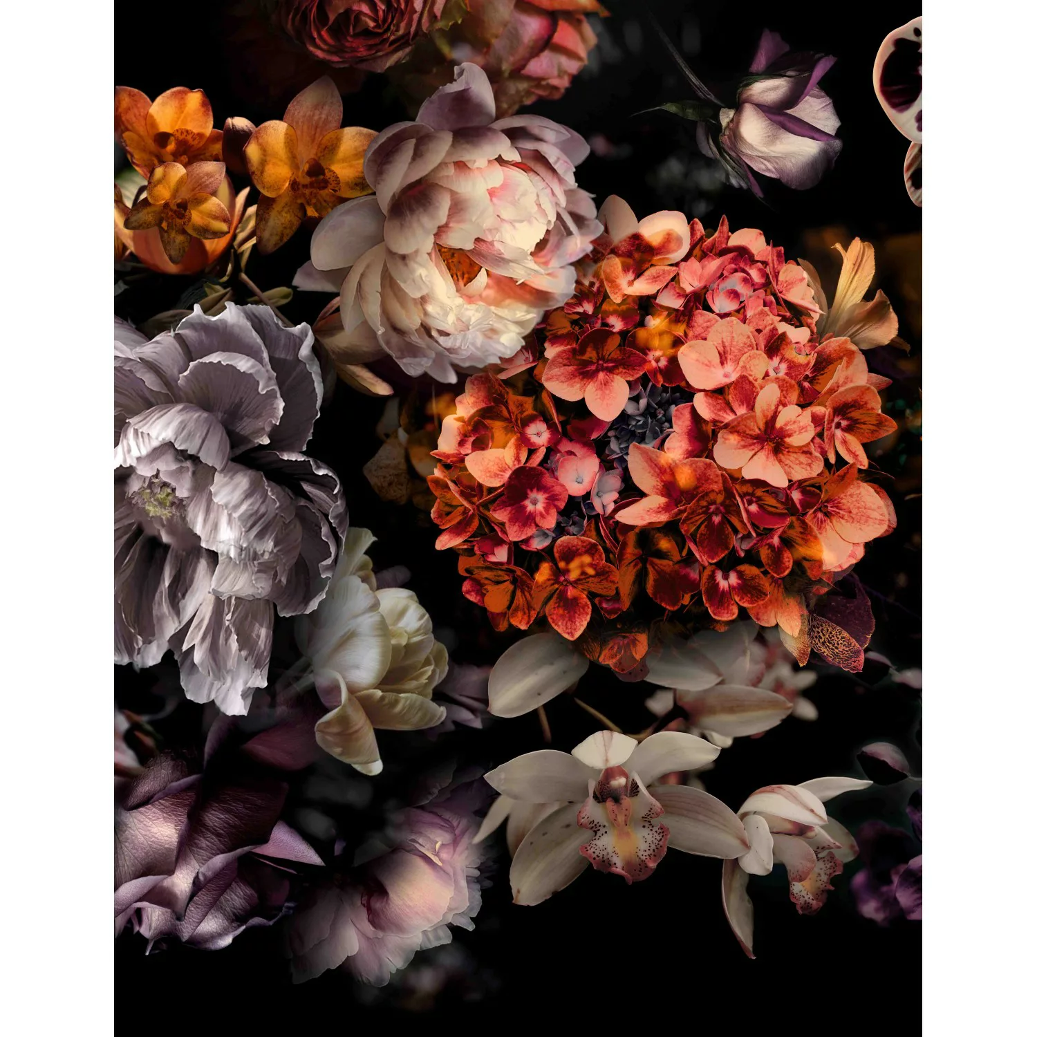 Marburg Fototapete Floral Modern Schwarz-Rosa FSC® günstig online kaufen