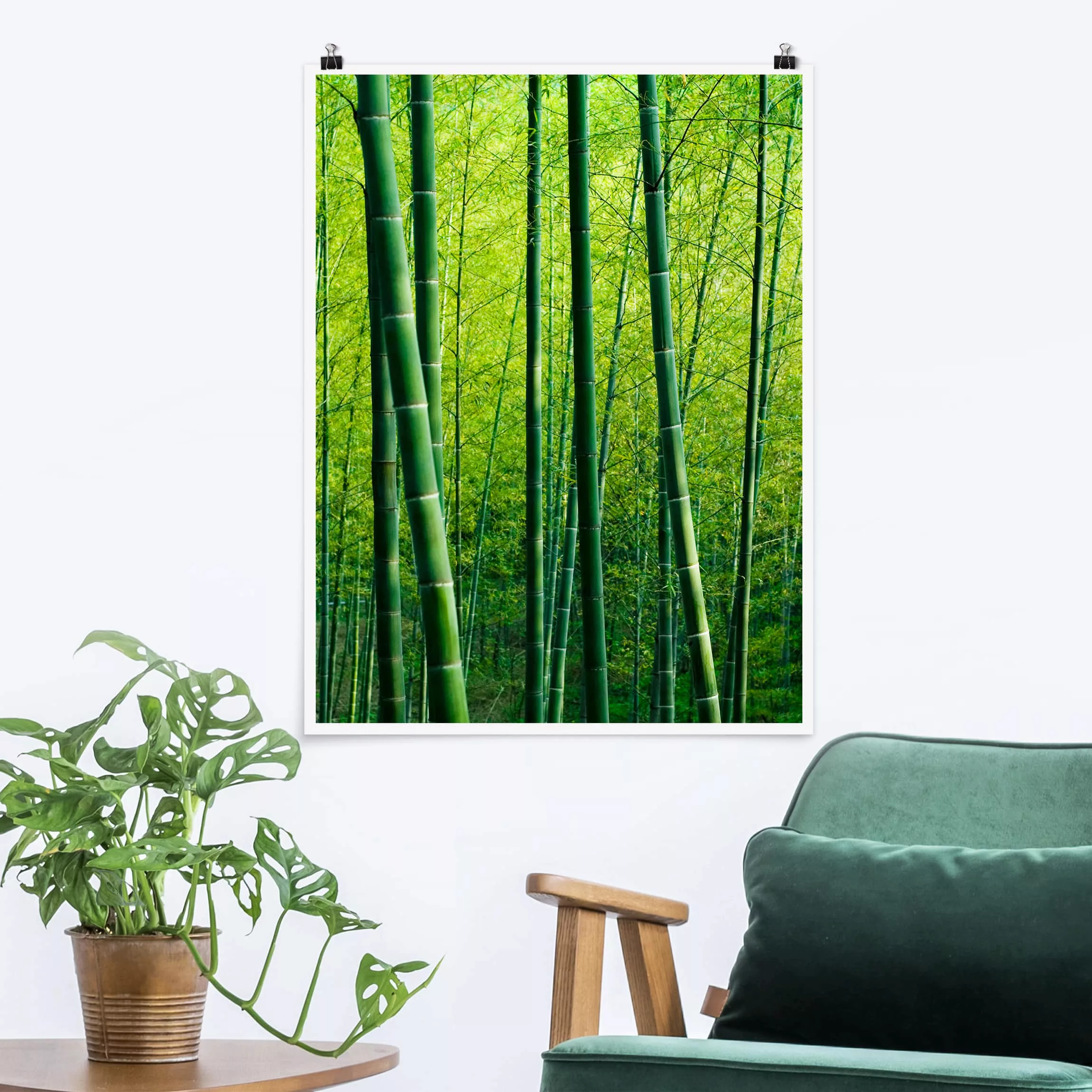 Poster Natur & Landschaft - Hochformat Bambuswald günstig online kaufen
