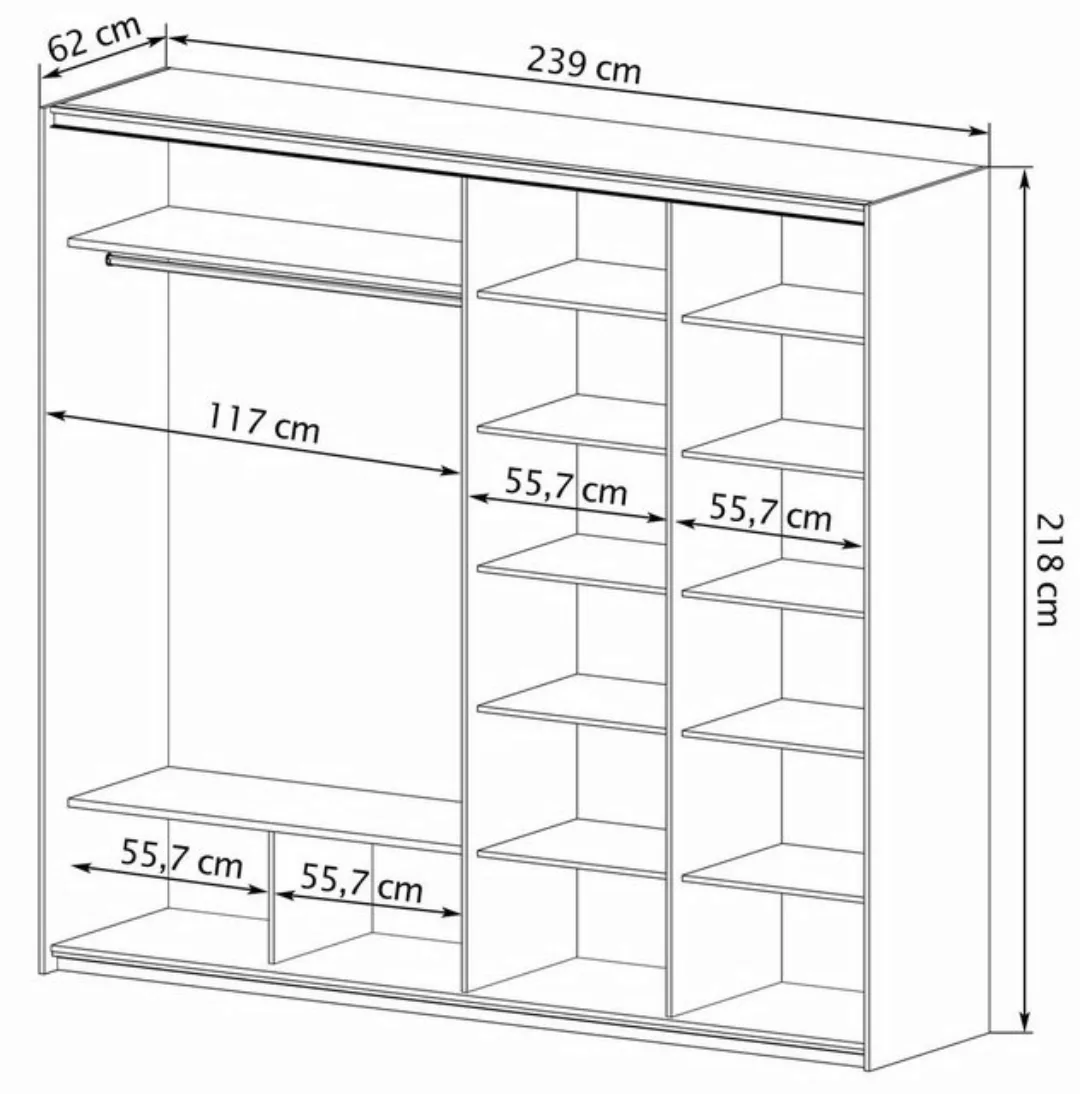 Feldmann-Wohnen Schwebetürenschrank Ice IV (1-St) 239x65x218cm, 2-türig mit günstig online kaufen