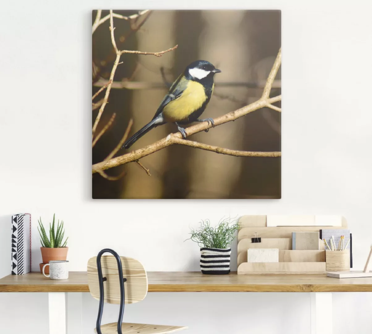 Artland Leinwandbild "Kohlmeise im Wald", Vögel, (1 St.), auf Keilrahmen ge günstig online kaufen