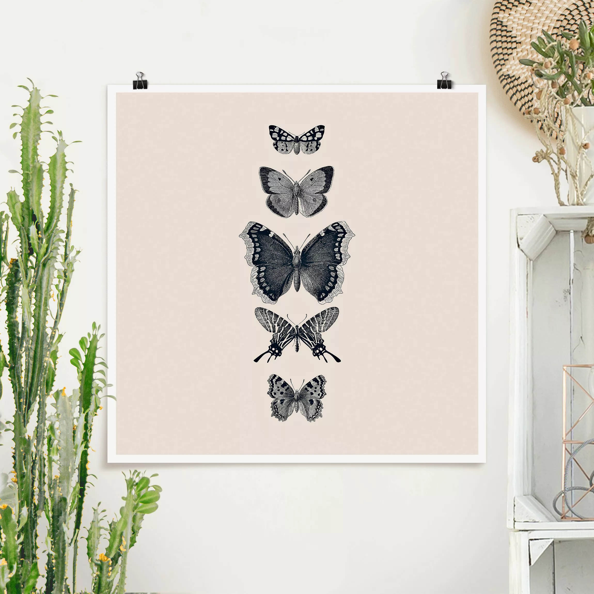 Poster Tusche Schmetterlinge auf Beige günstig online kaufen