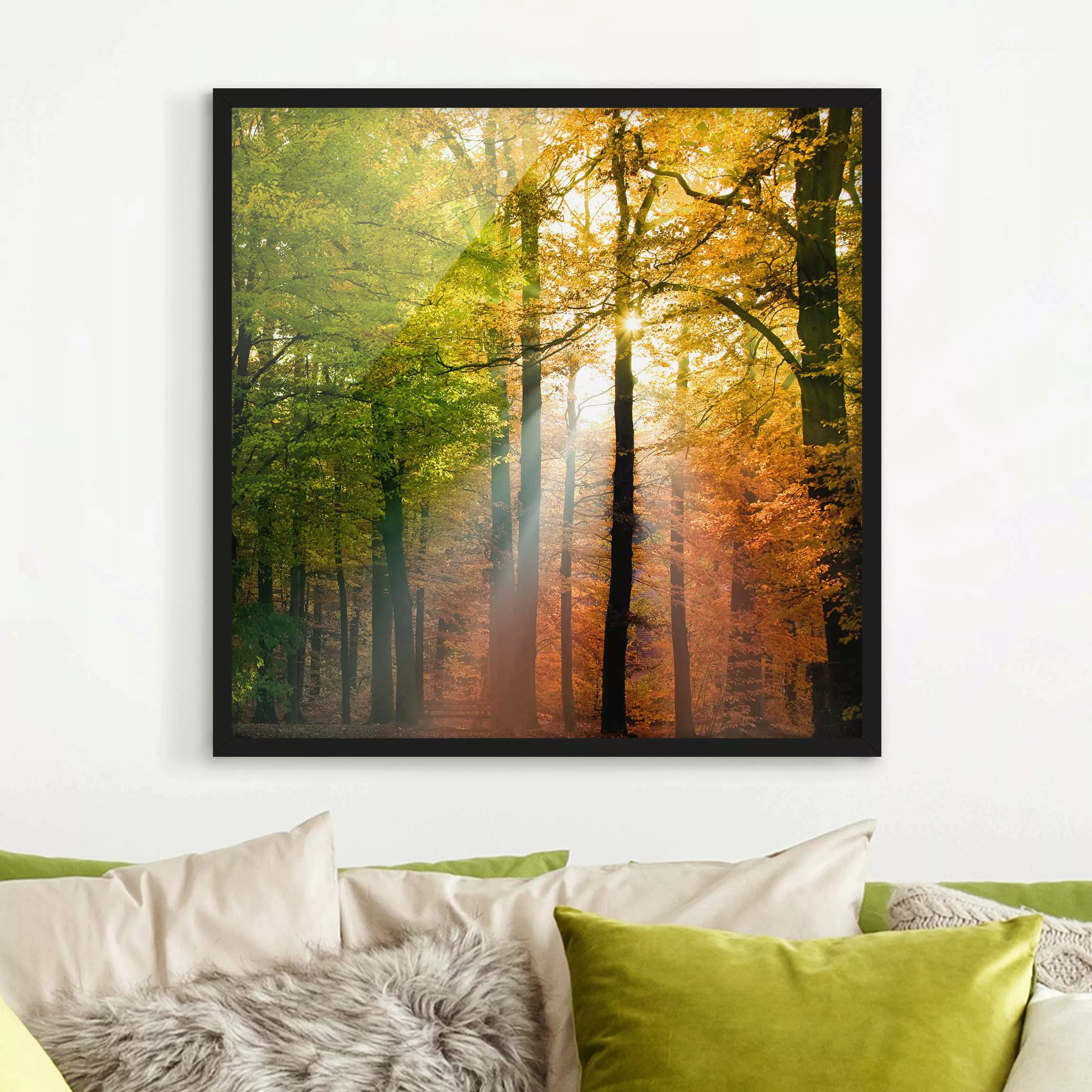 Bild mit Rahmen Natur & Landschaft - Quadrat Morning Light günstig online kaufen