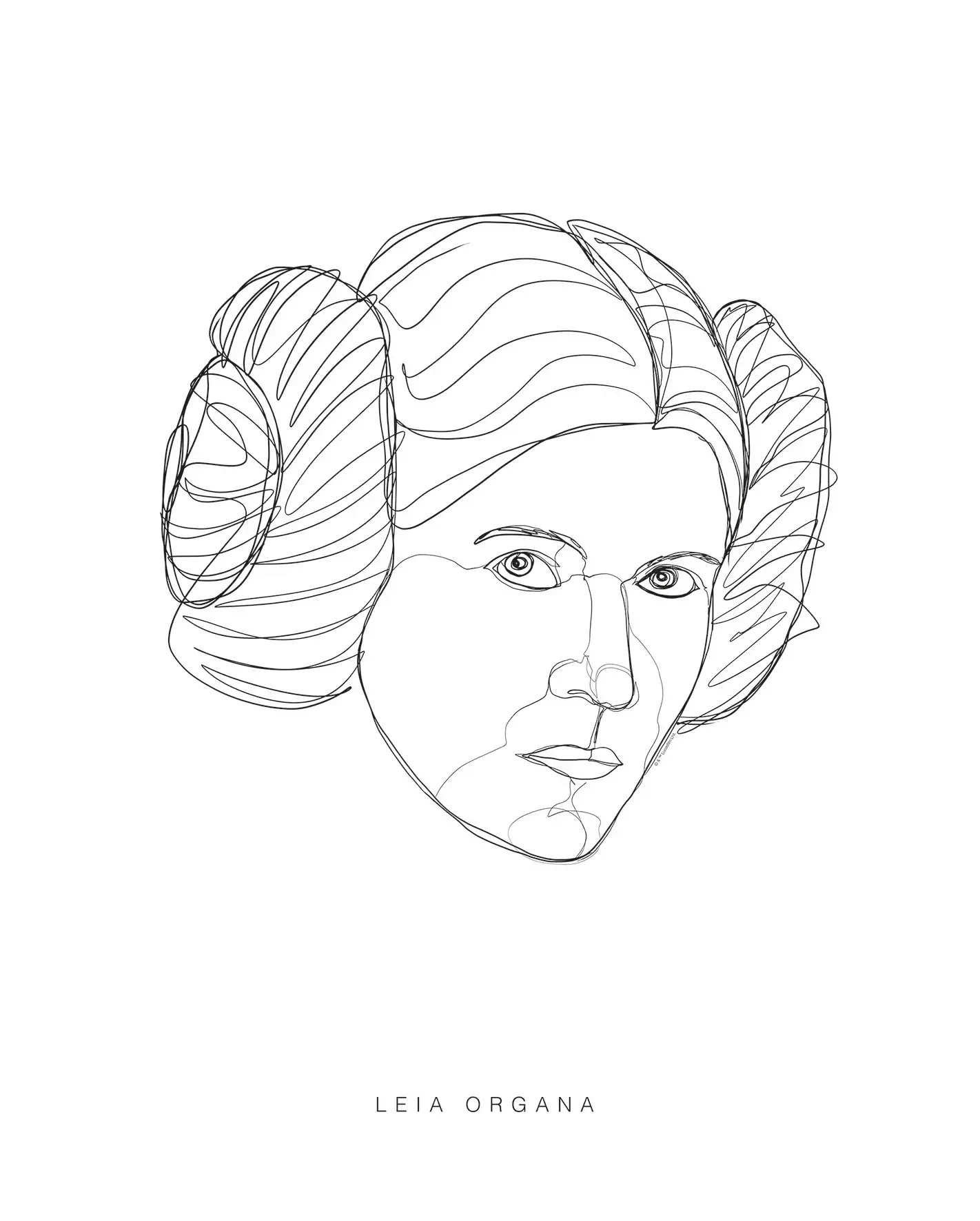 Komar Wandbild Star Wars Leia 40 x 50 cm günstig online kaufen