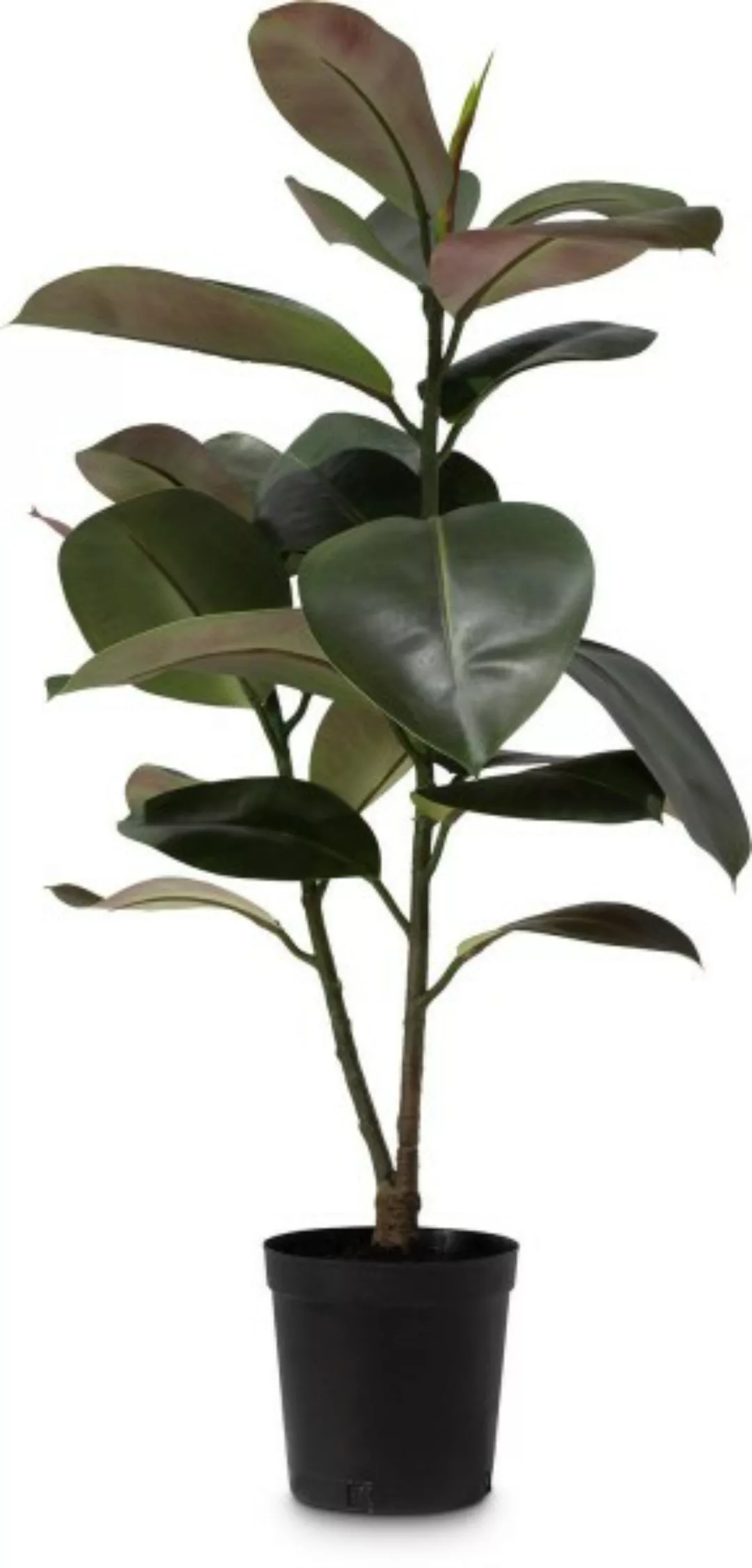 Ficus Elastica Kunstpflanze 95 cm günstig online kaufen