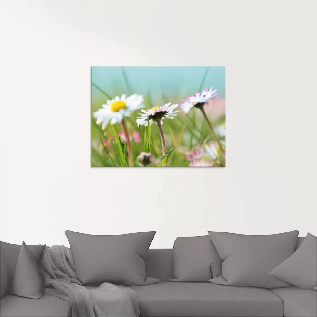 Artland Glasbild "Gänseblümchen Romantik", Blumen, (1 St.) günstig online kaufen