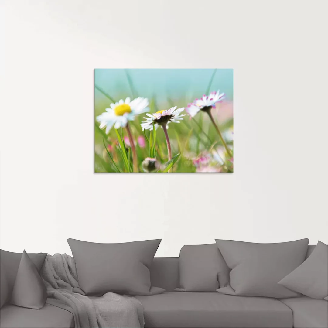 Artland Glasbild »Gänseblümchen Romantik«, Blumen, (1 St.), in verschiedene günstig online kaufen