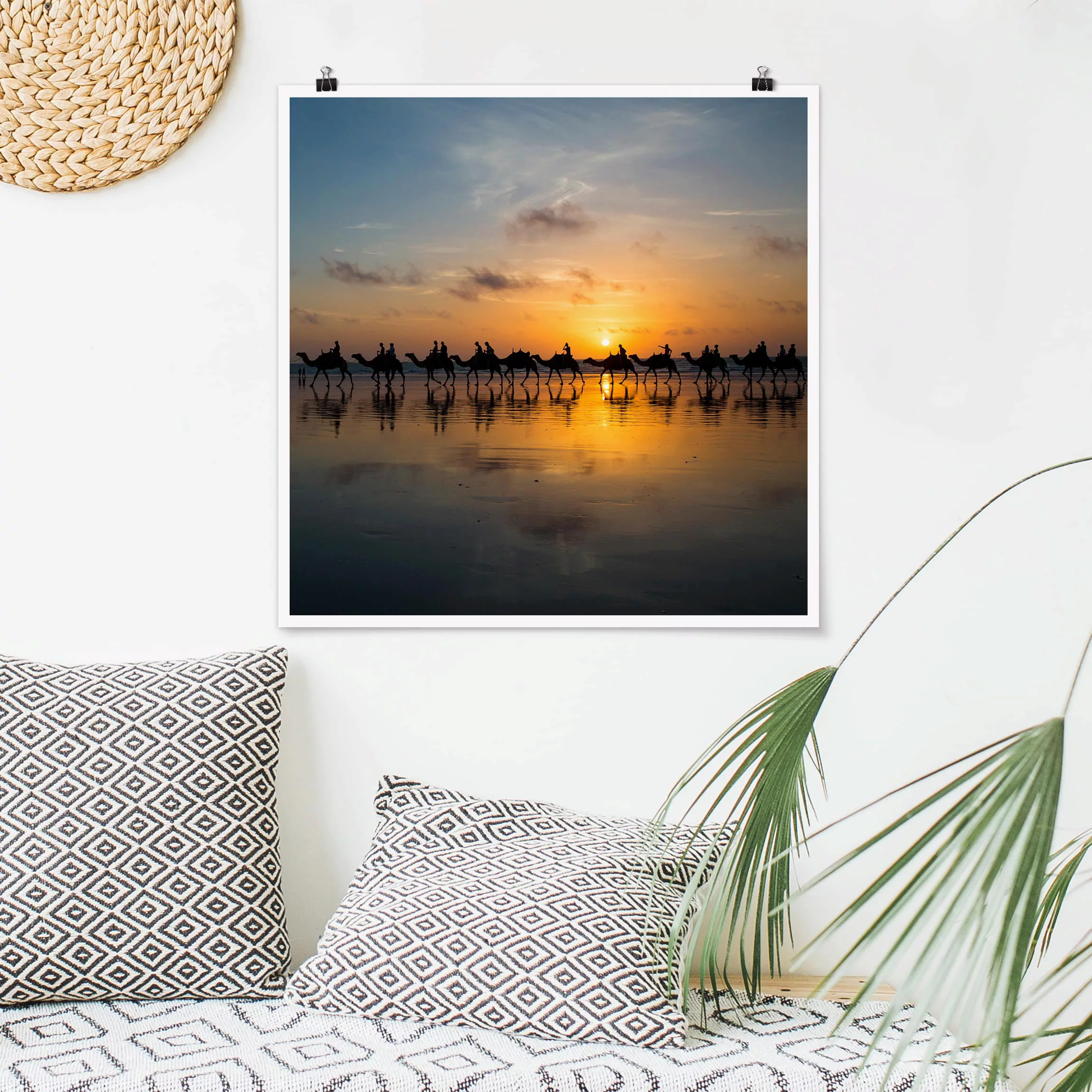 Poster Tiere - Quadrat Kamele im Sonnenuntergang günstig online kaufen